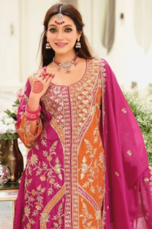 Eba Vihara Chinon Embroidery Designer Readymade Collection