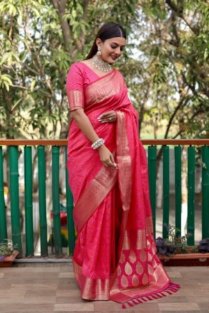 Bandhej Patola Silk Sarees