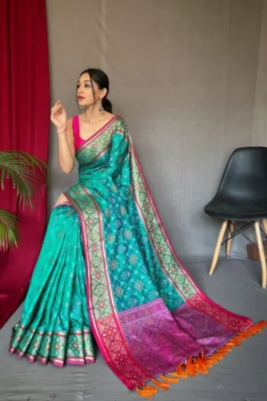 Rangeen Meenakari Patola Silk Saree