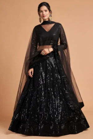 Black Soft Net Lehenga with Thread Sequins Embroidery